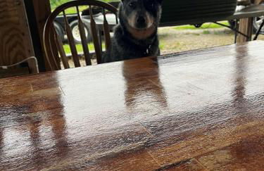 Big Spacious Camper - Foto 36