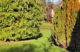 Tranquil Countryside Cottage near Loughborough - Foto 7