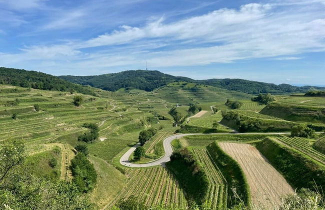 Holiday Apartment Swallow's Nest - Foto 12