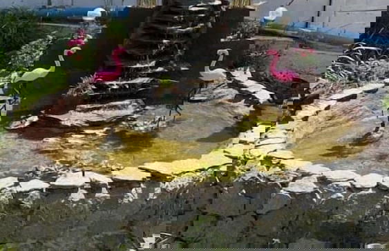 Parcela Los Nonos - Foto 16