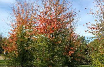 Cascina San Giorgio - Photo 14