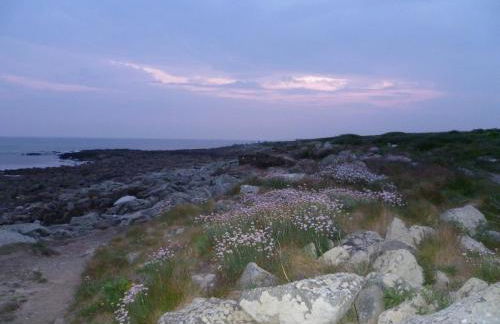 P'ty gîte de Bréharadec - Foto 18