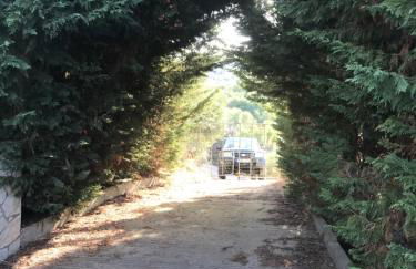 Mountain House near Pyrgos Ilias - Photo 11