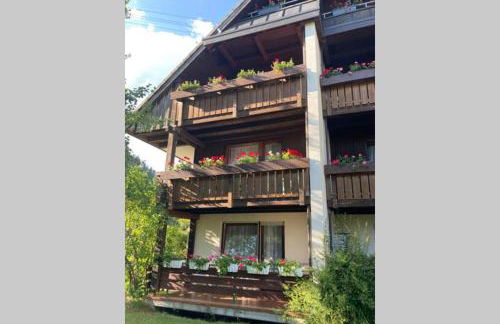 Gemütliche Ferienwohnung in Sankt Blasien - Foto 50