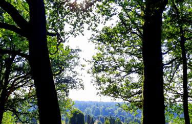 Dammann's Hof - Foto 17