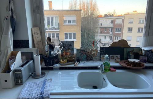 Le tournesol - Foto 7