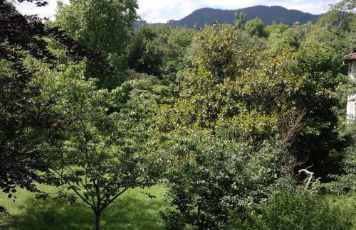 La Rondita, Fuentes, Parres, Asturias - Photo 11