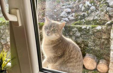 CASA MONTE - Foto 18