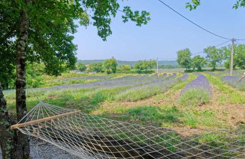 Holiday House Zatka by Rent Istria - Foto 17