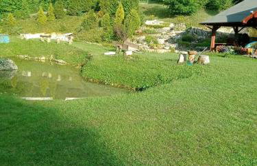 Agroturystyka Leśna Ostoja Borek - Foto 15