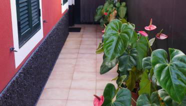 Sea & Mountain View Lombo de Cima House BBQ & Wifi - Foto 4