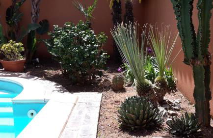 Villa Salvatore - Foto 34