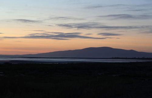 Paws a while - Foto 20