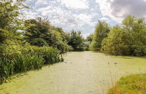 Jackdaw's Roost - Foto 22