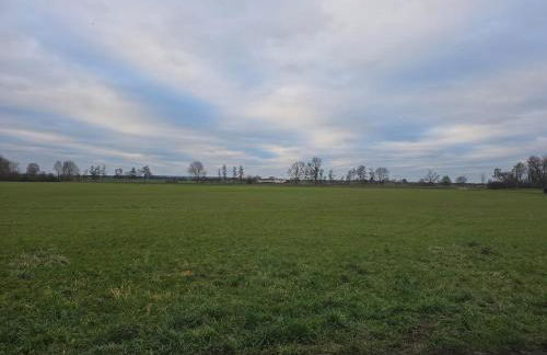 Ferienwohnung Auf der Warthe - Foto 27