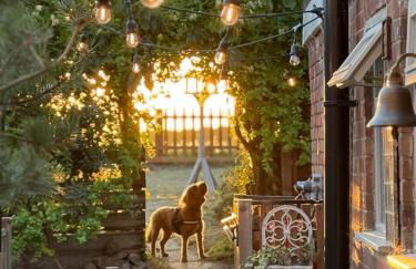 Olive Quay Cottage - Rustic elegance, big country garden Norfolk coast - Foto 6