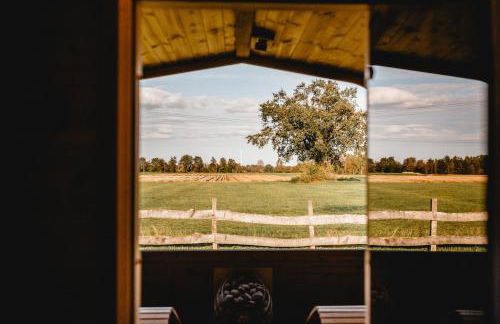 Huxfeld-Hof - Tiny-House KUHni - Foto 16