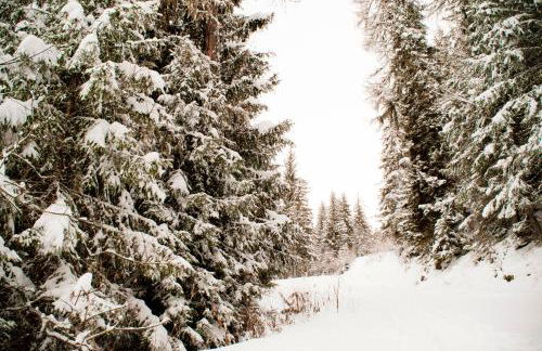 Your apartment near the ski lift - Foto 19