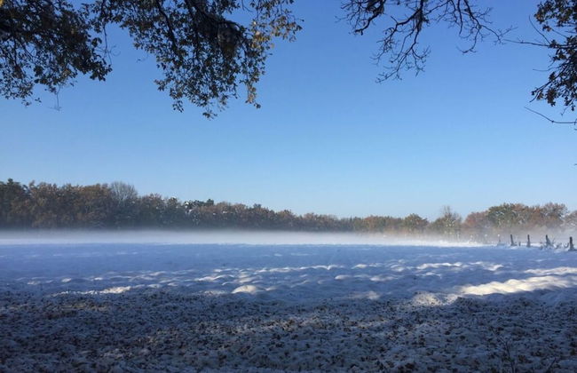 Holiday Apartment Trulich Hoff - Foto 10