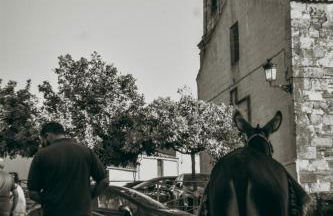 APARTAMENTO TURÍSTICO EL ESQUILÓN - Foto 29