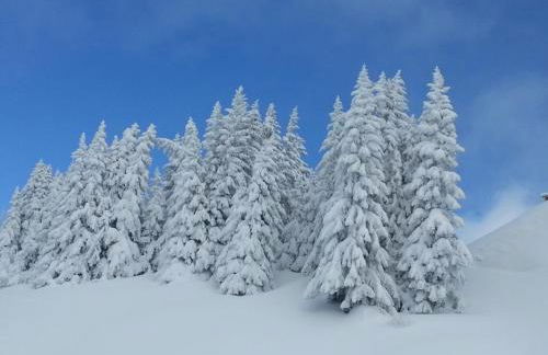 APPARTEMENT COSY AUX SAISIES n1 - Foto 26