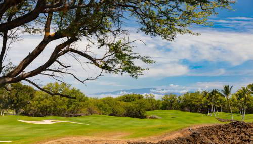 Mauna Lani KaMilo #123 - Foto 4