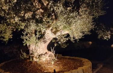 Il nido delle rondini - Foto 48