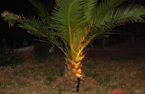 Terpsichore Apartments - Foto 23