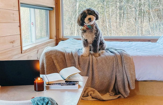 Postcard Cabins Brown County, Outdoor Collection by Marriott Bonvoy - Foto 2