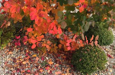 Dom Nadmorski - Foto 51