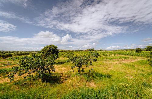 Villa Podere 109 - BioWine - Foto 72