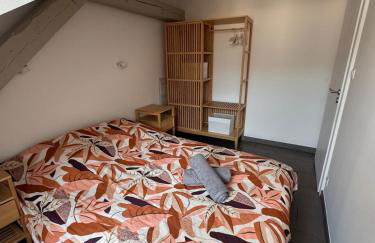 Appartement cosy au centre ville de Colmar - Foto 3