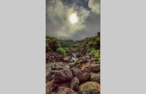 Monchique Islet View House T2 - Foto 20