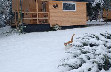 Rykowisko - domki całoroczne nad jeziorem i rzeką - Foto 46