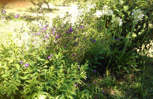 Casa Do Fiscal - Foto 15