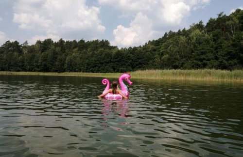 Smocze Ranczo - Foto 76