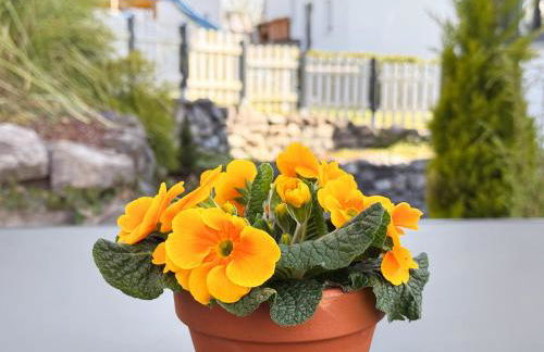 Ferienwohnung Auszeit - Foto 17