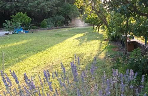 Apartments Duras - Photo 23