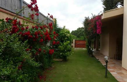 Giulia's House - Foto 5