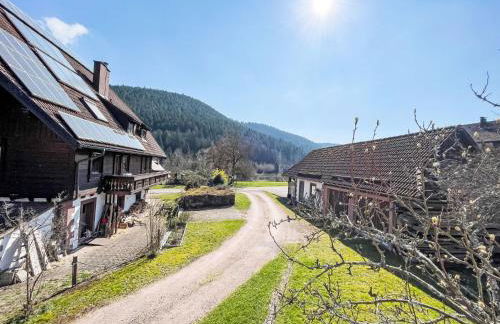 Holiday Home Backhäusle by Interhome - Foto 36