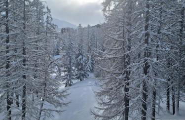 Studio 4p Chaleureux aux pieds des pistes & vue Pelvoux II - Foto 12