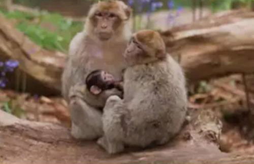 SPACIOUS DETACHED 5 Bedroom4 Bathroom WIFI Parking - Foto 49