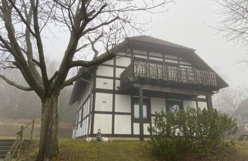 Ferienwohnung Mimo direkt am Waldrand - Foto 20