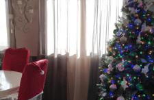 Cactus house - Foto 27