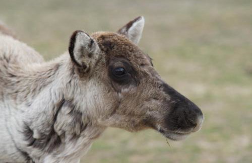 Stunning 16th Century Farmhouse in Suffolk - Foto 36