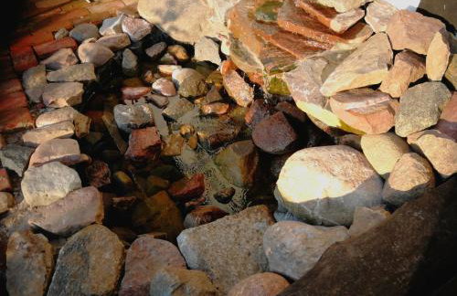 Agroturystyka "Dobre czasy" - Foto 66