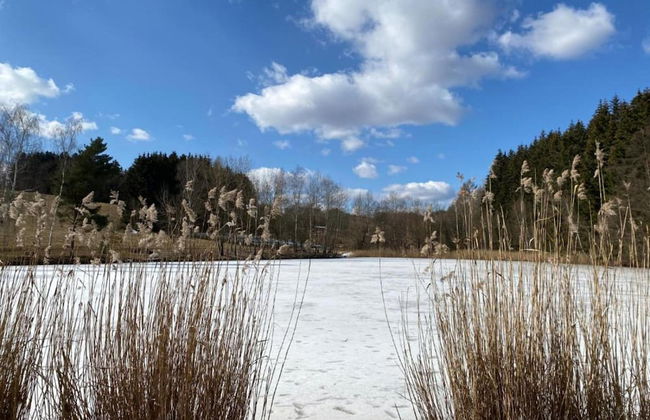 Luxury Chalet in Stupna near Ski Area - Foto 38