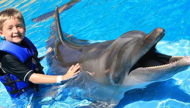 Tramonto a Negril e incontro con i delfini a Dolphin Cove - Foto 3