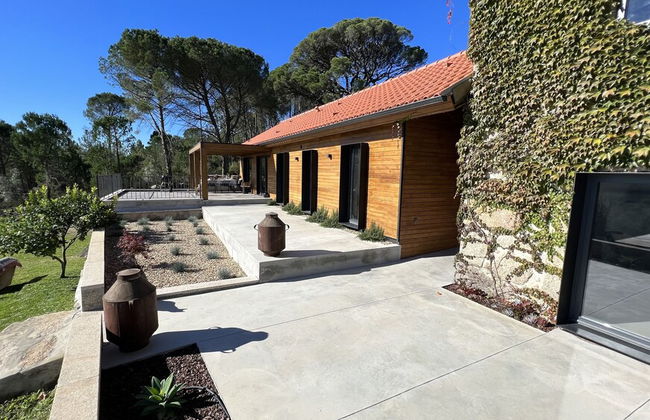 Casas do Pinheiro Grande - Foto 41