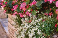 Apartman M&M Žminj - Foto 32